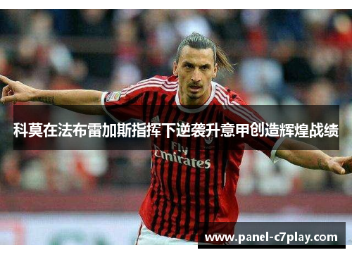 科莫在法布雷加斯指挥下逆袭升意甲创造辉煌战绩 科莫在法布雷加斯指挥下逆袭升意甲创造辉煌战绩