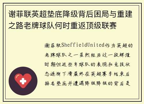 谢菲联英超垫底降级背后困局与重建之路老牌球队何时重返顶级联赛