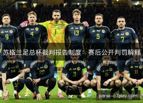 苏格兰足总杯裁判报告制度：赛后公开判罚解释